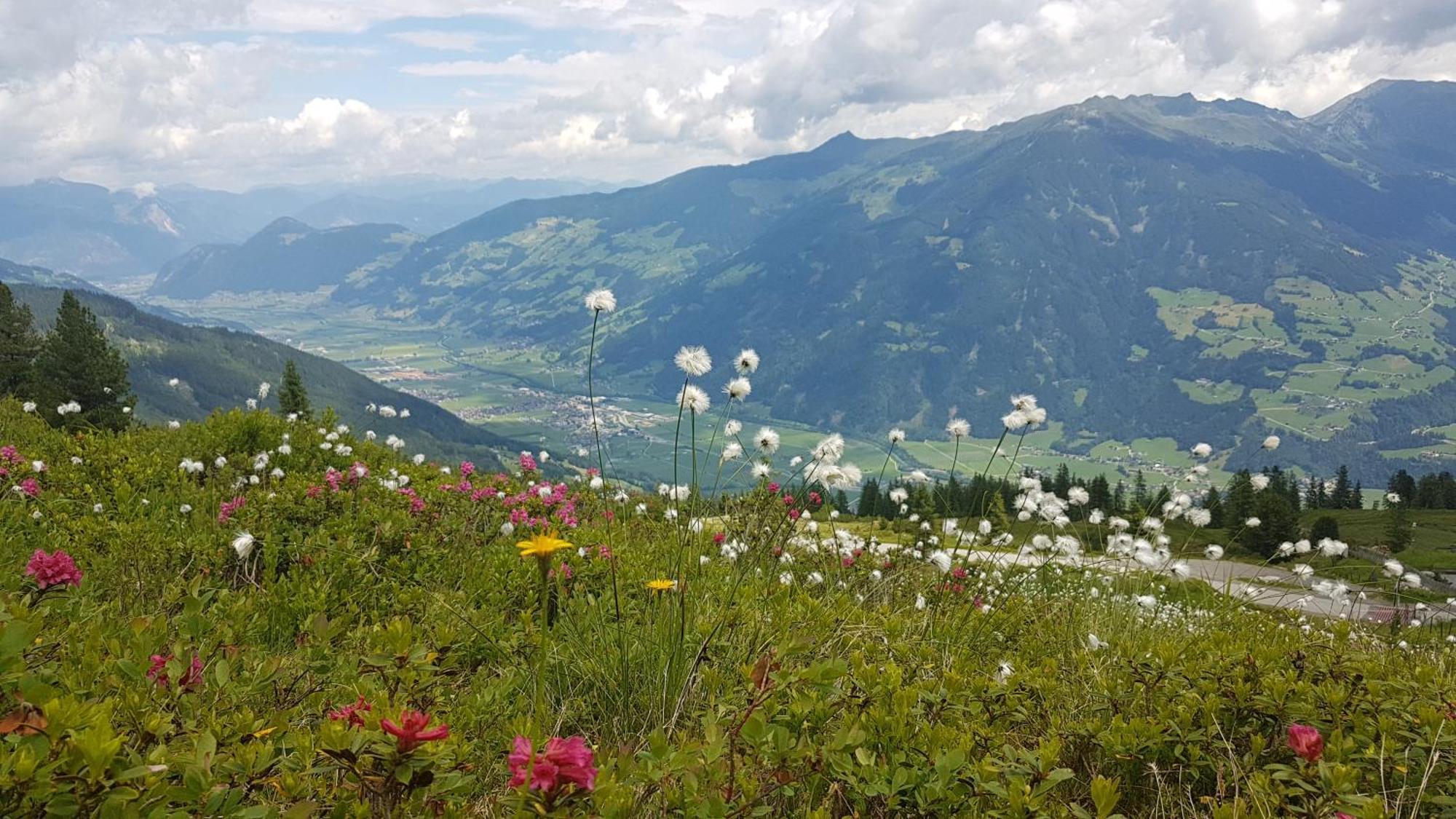 Alpen Quartier Apartment Uderns Luaran gambar